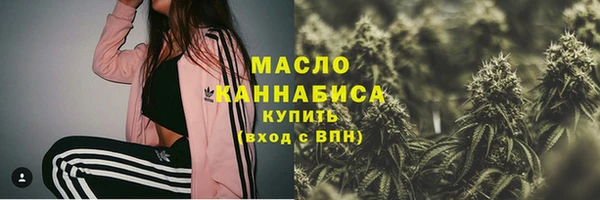 мяу мяу мука Гусь-Хрустальный