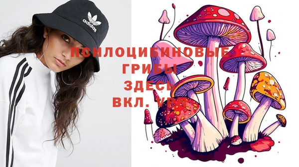мяу мяу мука Гусь-Хрустальный