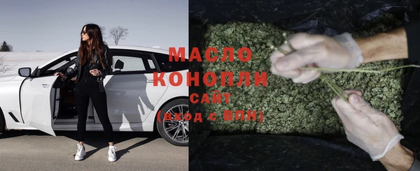 мяу мяу мука Гусь-Хрустальный