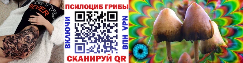 Купить где  Козельск  Галлюциногенные грибы MAGIC MUSHROOMS 